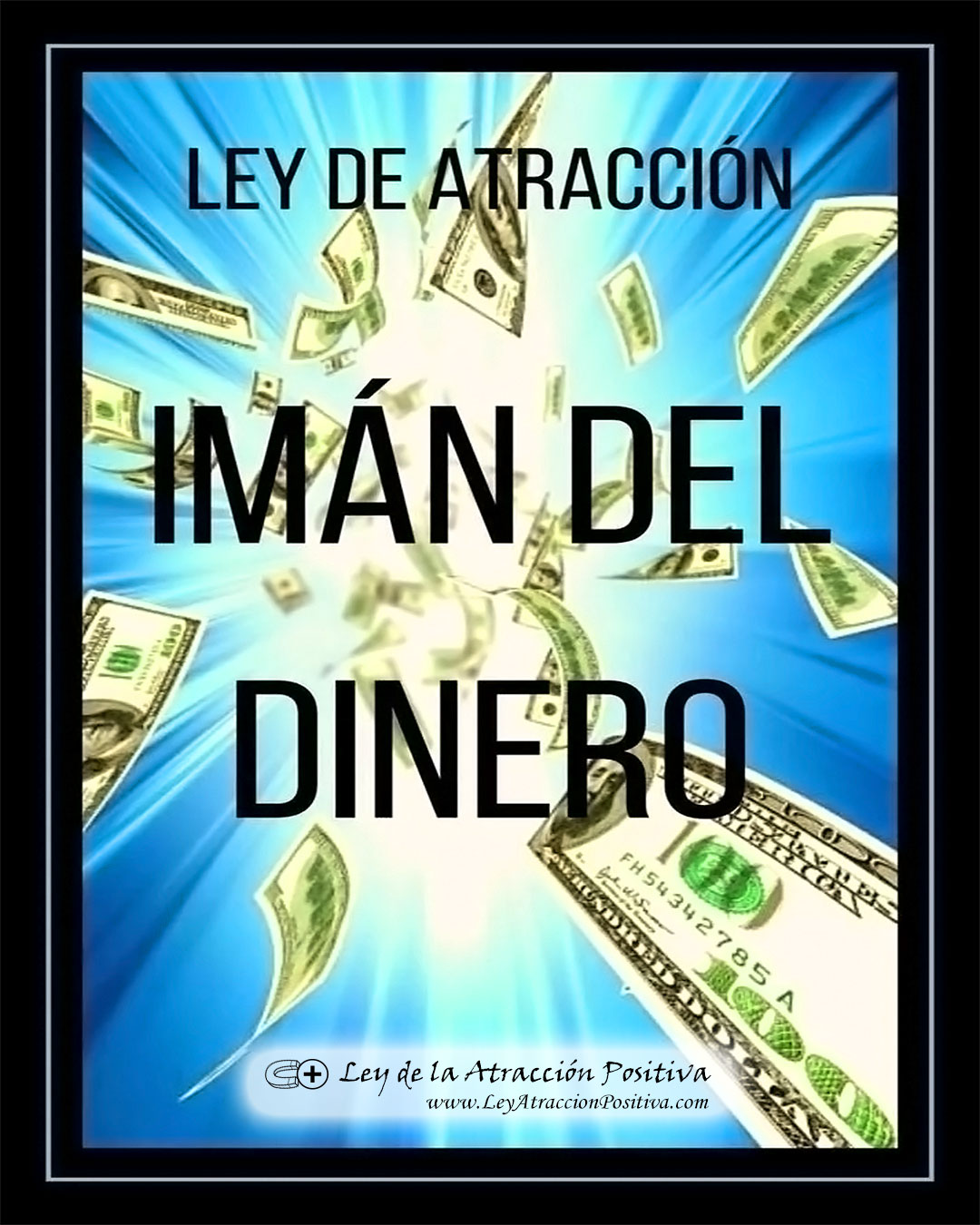 Ley Atracción Dinero Prosperidad Abundancia